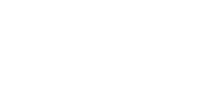 Self Esteem Brands Logo - Home Page